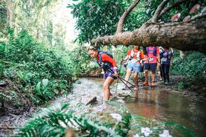 BIB: 
                            <button type="button" onclick="openModal(25515369)" class="btn btn-primary btn-sm float-right btn-popup" data-toggle="modal" data-target=".modal-high-quality">
                        <i class="fas fa-shopping-cart"></i> Add to Cart
                    </button>
                                            <button type="button" onclick="isThisMe(25515369, true)" class="btn btn-success btn-sm float-right btn-popup btn-isme hidden" data-toggle="tooltip" data-placement="bottom" title="นี่คือรูปของคุณใช่ไหม คลิกที่นี่เพื่อเอาเข้าอัลบั้ม">
                        <i class="fas fa-plus"></i> Add to album
                    </button>
                    <button type="button" onclick="isThisMe(25515369, false)" class="btn btn-warning btn-sm float-right btn-popup btn-isnotme hidden">
                        <i class="fas fa-ban"></i> Remove from album
                    </button>